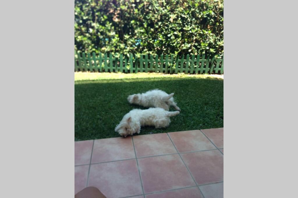 Jardines De Denia I Apartment Ngoại thất bức ảnh